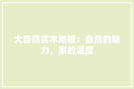 大自然实木地板：自然的魅力，家的温度 现代风格装饰