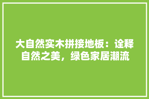 大自然实木拼接地板：诠释自然之美，绿色家居潮流 现代风格装饰