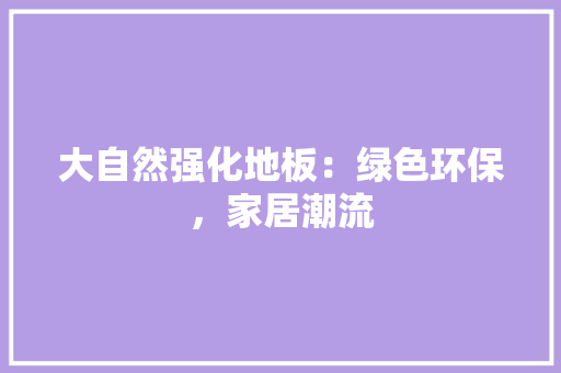 大自然强化地板：绿色环保，家居潮流 现代风格装饰
