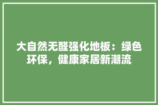 大自然无醛强化地板：绿色环保，健康家居新潮流 现代风格装饰