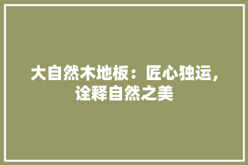 大自然木地板：匠心独运，诠释自然之美 现代风格装饰