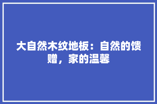 大自然木纹地板：自然的馈赠，家的温馨 现代风格装饰