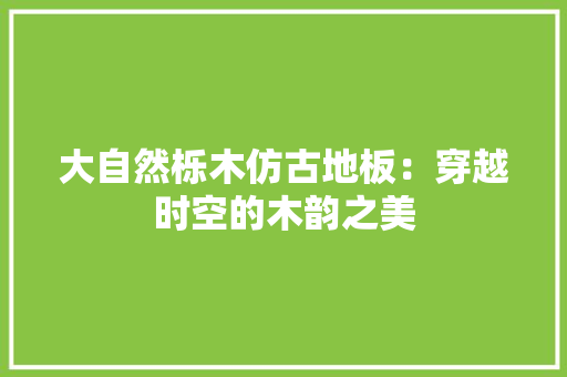 大自然栎木仿古地板：穿越时空的木韵之美 现代风格装饰