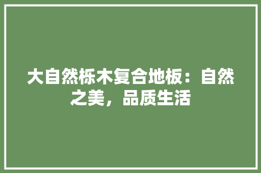 大自然栎木复合地板：自然之美，品质生活 现代风格装饰