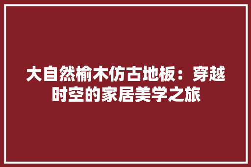 大自然榆木仿古地板：穿越时空的家居美学之旅 现代风格装饰