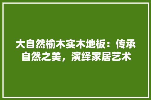 大自然榆木实木地板：传承自然之美，演绎家居艺术 现代风格装饰