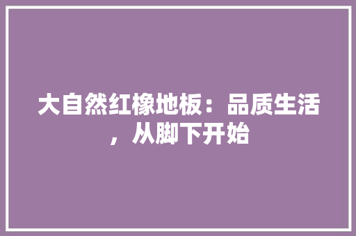 大自然红橡地板：品质生活，从脚下开始 现代风格装饰