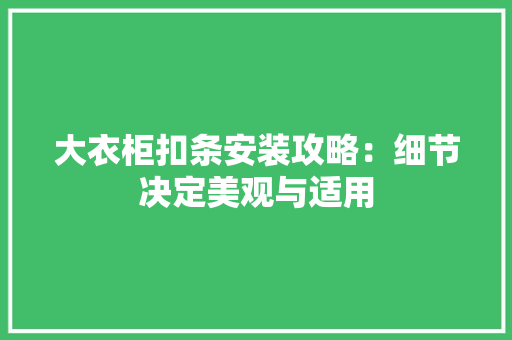 大衣柜扣条安装攻略：细节决定美观与适用 现代风格装饰