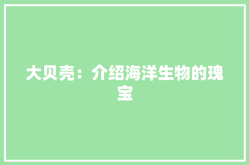 大贝壳：介绍海洋生物的瑰宝
