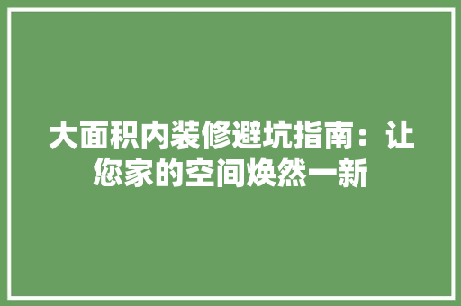 大面积内装修避坑指南：让您家的空间焕然一新 现代风格装饰