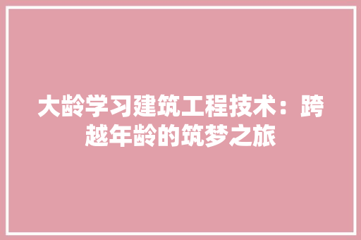 大龄学习建筑工程技术：跨越年龄的筑梦之旅 现代风格装饰