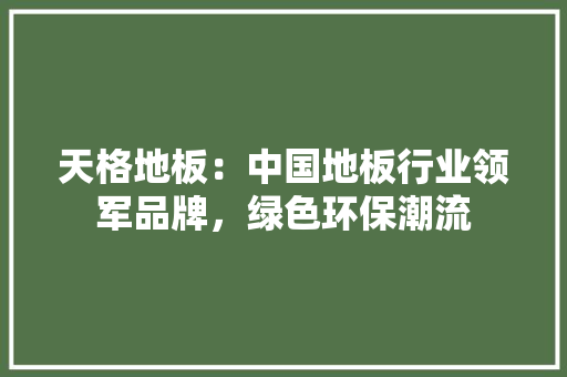 天格地板：中国地板行业领军品牌，绿色环保潮流 现代风格装饰