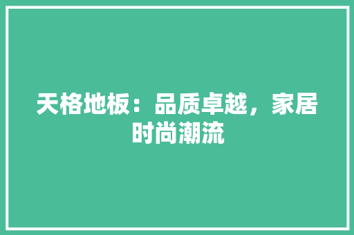 天格地板：品质卓越，家居时尚潮流 现代风格装饰