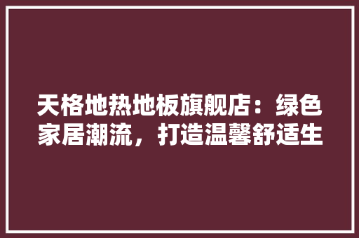 天格地热地板旗舰店：绿色家居潮流，打造温馨舒适生活空间 现代风格装饰