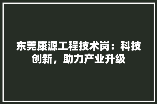 东莞康源工程技术岗：科技创新，助力产业升级 家居装修