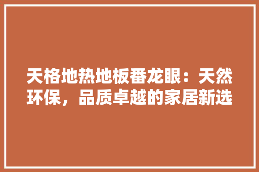 天格地热地板番龙眼：天然环保，品质卓越的家居新选择 现代风格装饰