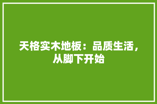 天格实木地板：品质生活，从脚下开始 现代风格装饰