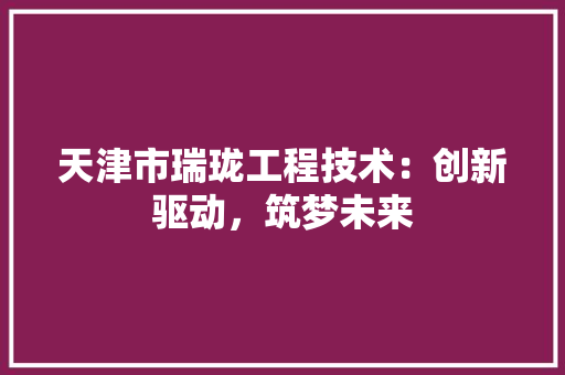 天津市瑞珑工程技术：创新驱动，筑梦未来 现代风格装饰