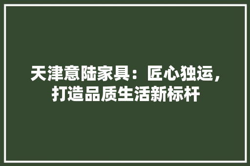 天津意陆家具：匠心独运，打造品质生活新标杆 现代风格装饰