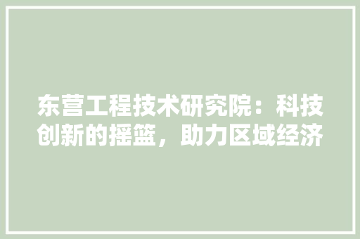 东营工程技术研究院：科技创新的摇篮，助力区域经济发展 家居装修