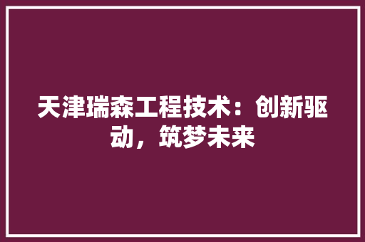 天津瑞森工程技术：创新驱动，筑梦未来 现代风格装饰