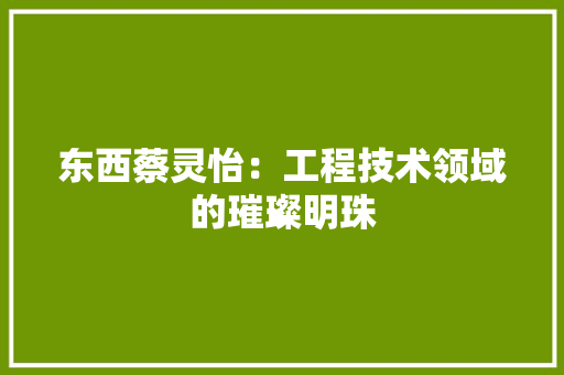 东西蔡灵怡：工程技术领域的璀璨明珠 家居装修