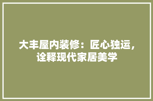 大丰屋内装修：匠心独运，诠释现代家居美学