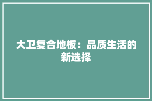 大卫复合地板：品质生活的新选择 现代风格装饰