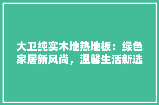 大卫纯实木地热地板：绿色家居新风尚，温馨生活新选择 现代风格装饰