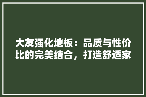 大友强化地板：品质与性价比的完美结合，打造舒适家居生活 现代风格装饰