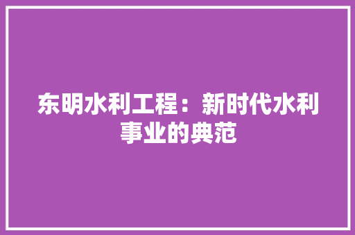 东明水利工程：新时代水利事业的典范