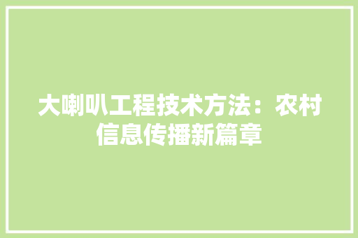 大喇叭工程技术方法：农村信息传播新篇章 现代风格装饰
