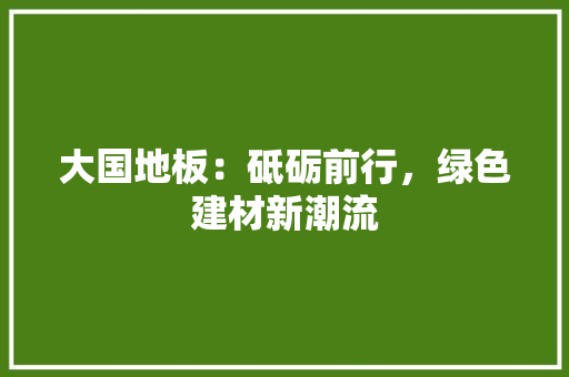 大国地板：砥砺前行，绿色建材新潮流 现代风格装饰