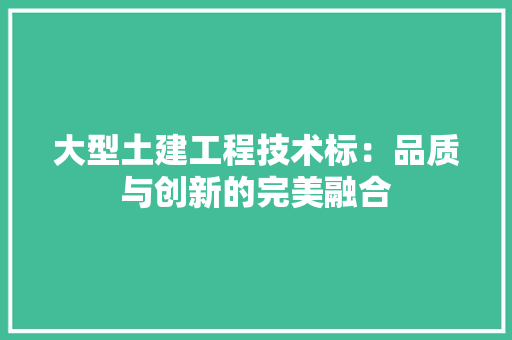 大型土建工程技术标：品质与创新的完美融合 现代风格装饰