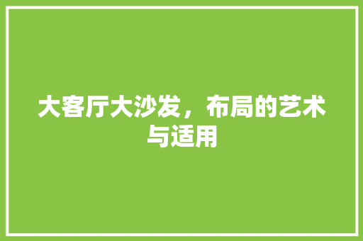 大客厅大沙发，布局的艺术与适用 现代风格装饰