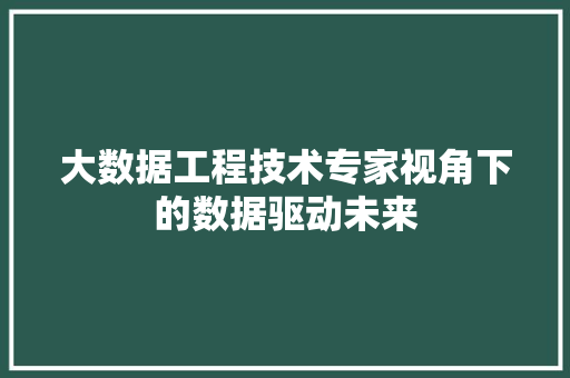 大数据工程技术专家视角下的数据驱动未来 现代风格装饰