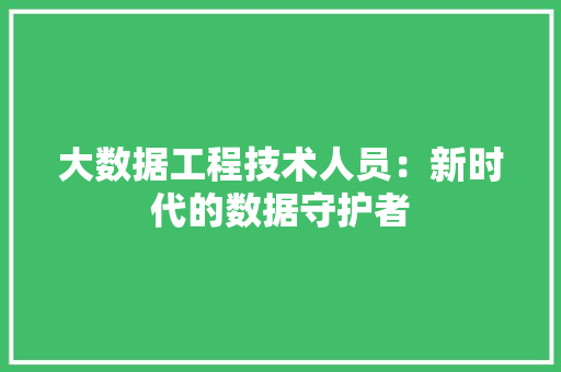 大数据工程技术人员：新时代的数据守护者 现代风格装饰