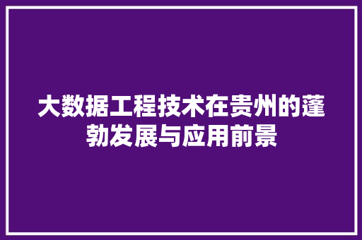 大数据工程技术在贵州的蓬勃发展与应用前景