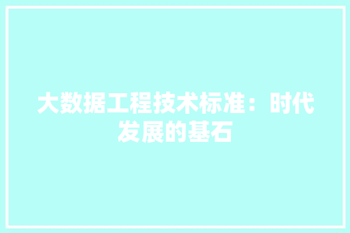 大数据工程技术标准：时代发展的基石 现代风格装饰