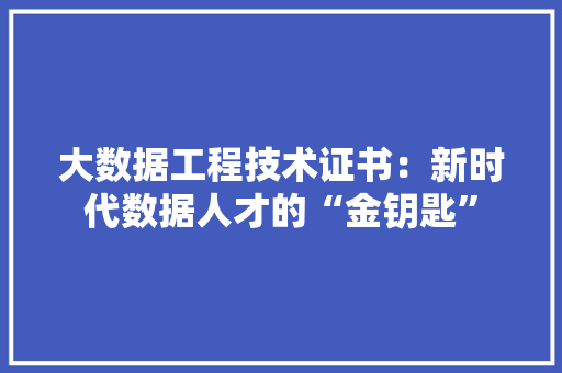 大数据工程技术证书：新时代数据人才的“金钥匙”