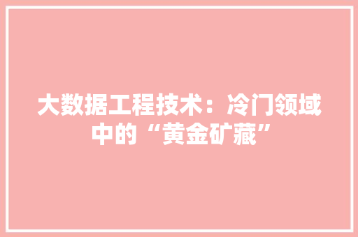 大数据工程技术：冷门领域中的“黄金矿藏” 现代风格装饰