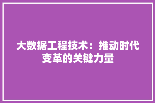 大数据工程技术：推动时代变革的关键力量 现代风格装饰