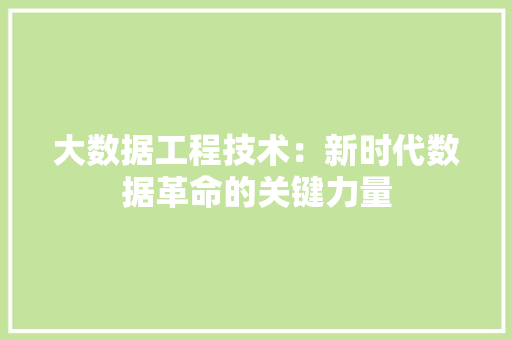 大数据工程技术：新时代数据革命的关键力量 现代风格装饰