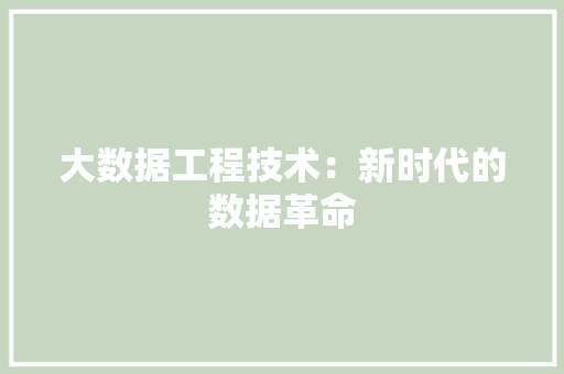 大数据工程技术：新时代的数据革命 现代风格装饰