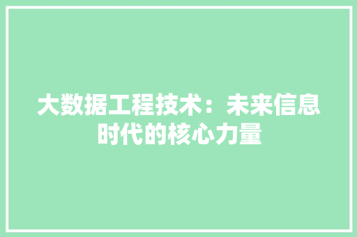 大数据工程技术：未来信息时代的核心力量 现代风格装饰