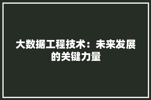 大数据工程技术：未来发展的关键力量