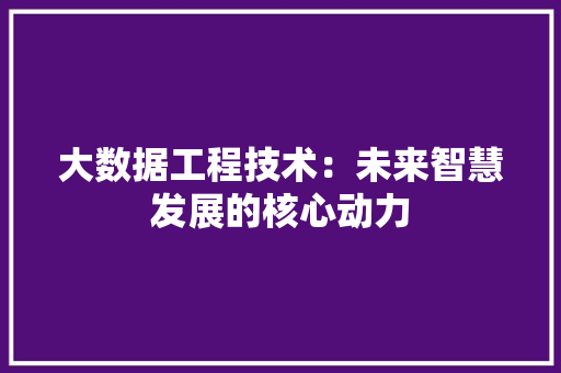大数据工程技术：未来智慧发展的核心动力 现代风格装饰