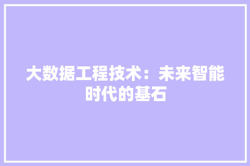大数据工程技术：未来智能时代的基石 现代风格装饰