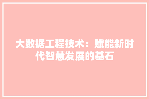大数据工程技术：赋能新时代智慧发展的基石 现代风格装饰