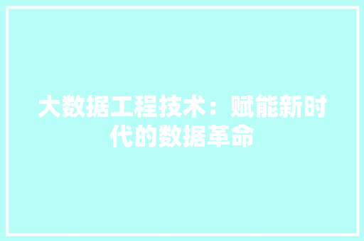 大数据工程技术：赋能新时代的数据革命 现代风格装饰